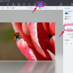 画質を落とさずに写真（jpegデータ）のファイルサイズを落とす方法