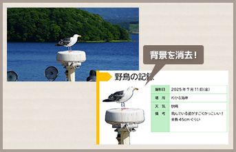 講座内容イメージ2