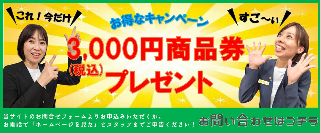 web限定キャンペーン