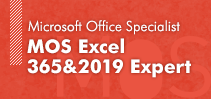 MOS Excel 365&2019 Expert